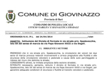 Ordinanza 42 PM: Istituzione del Divieto di Fermata
